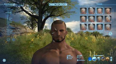 Hyur Highlander Hairstyle Options