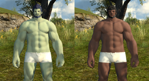 Roegadyn Clan Differences