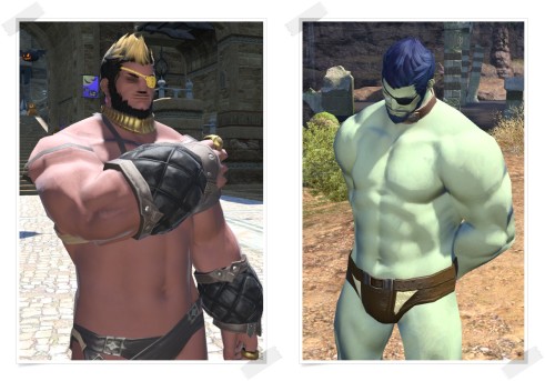 Roegadyn Bikini